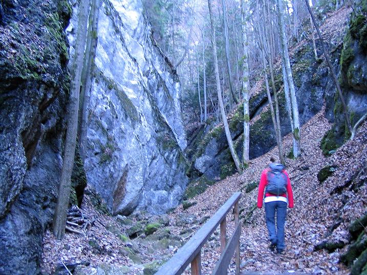 Foto: Andreas Koller / Klettersteigtour / Rudolf-Decker-Steig (720 m) / 27.12.2009 01:54:42
