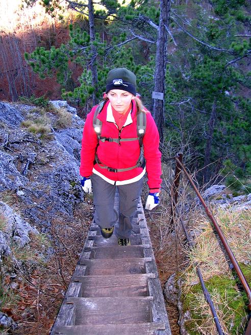 Foto: Andreas Koller / Klettersteigtour / Rudolf-Decker-Steig (720 m) / Zum Ausstieg / 27.12.2009 01:46:46