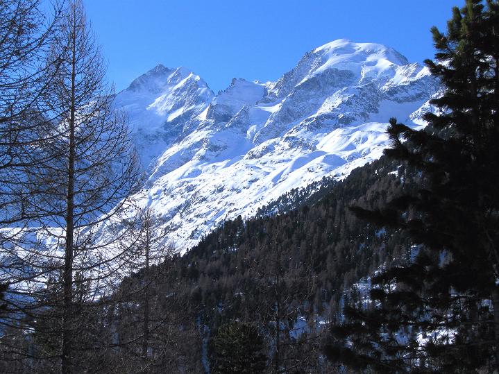 Foto: Andreas Koller / Skitour / Munt Pers und Gletscherabfahrt (3207 m) / Piz Bernina (4049 m) und Piz Morteratsch (3751 m) über dem Val da Morteratsch / 07.02.2010 17:44:06