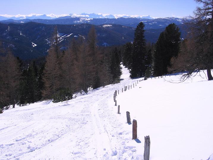 Foto: Andreas Koller / Skitour / Großer Speikkofel (2270 m) und Brett Höhe (2320 m) / Aus dem Wald heraußen öffnet sich der Blick auf die Julischen Alpen / 25.02.2010 16:50:29