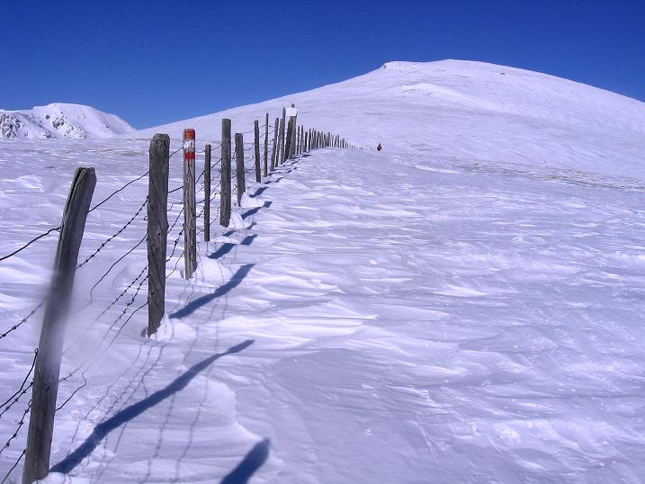 Foto: Andreas Koller / Skitour / Großer Speikkofel (2270 m) und Brett Höhe (2320 m) / Die sanften, erst am Schluss ein wenig steileren Hänge auf den Großen Speikkofel / 25.02.2010 16:47:51