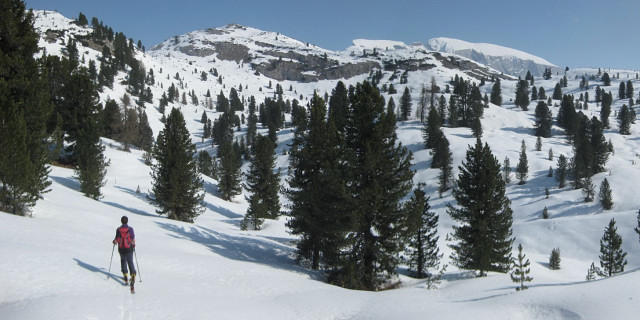 Foto: Wolfgang Lauschensky / Skitour / Monte Sella di Sennes oder Muntejela de Senes (2787m) / das Hochplateau ist erreicht - Seekofel rechts im Hintergrund / 13.04.2010 18:17:51