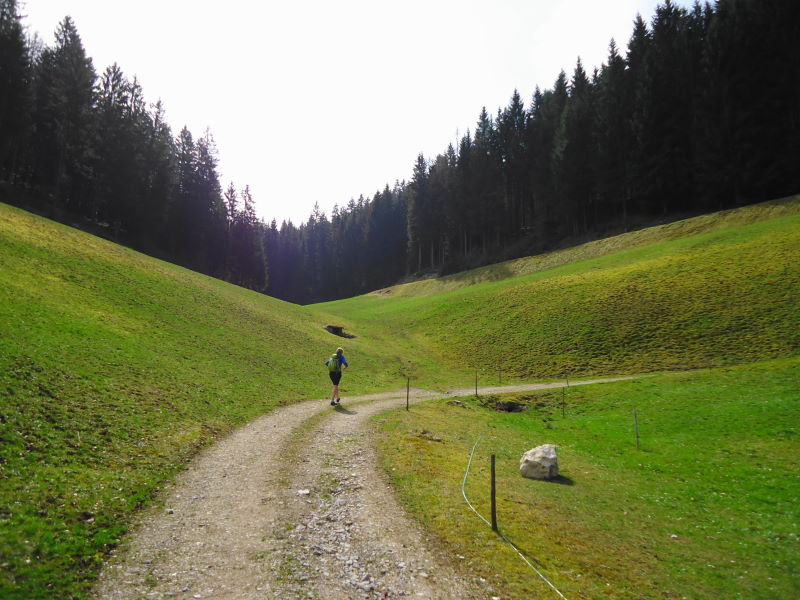 Foto: Günter Siegl / Wandertour / Oberösterreichwanderung zu niederösterreichischen Tausendern / 06.04.2014 12:39:40