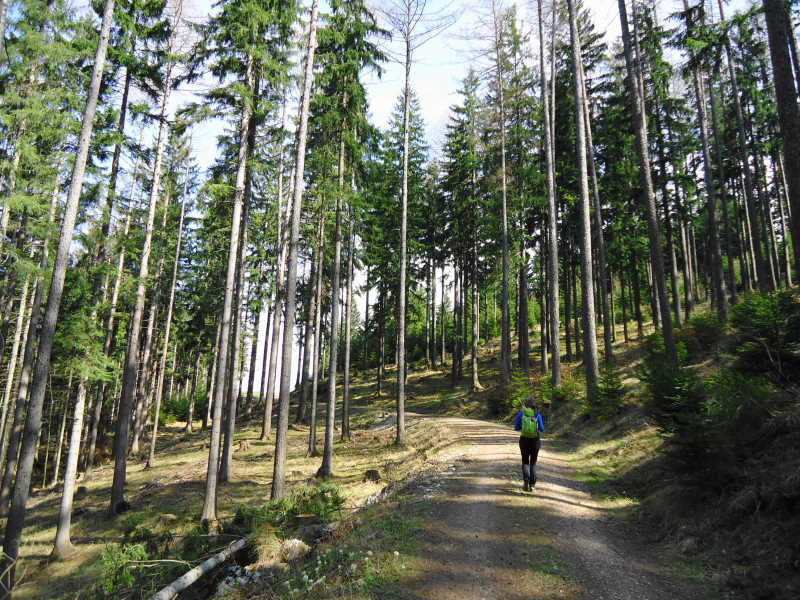 Foto: Günter Siegl / Wandertour / Oberösterreichwanderung zu niederösterreichischen Tausendern / 06.04.2014 12:39:59