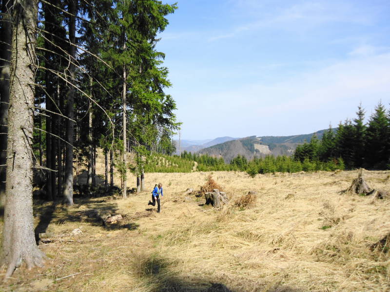 Foto: Günter Siegl / Wandertour / Oberösterreichwanderung zu niederösterreichischen Tausendern / 06.04.2014 12:40:09