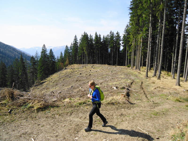 Foto: Günter Siegl / Wandertour / Oberösterreichwanderung zu niederösterreichischen Tausendern / 06.04.2014 12:40:21