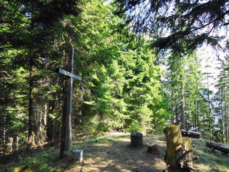 Foto: Günter Siegl / Wandertour / Oberösterreichwanderung zu niederösterreichischen Tausendern / Gaflenzer Kaibling / 06.04.2014 12:40:54