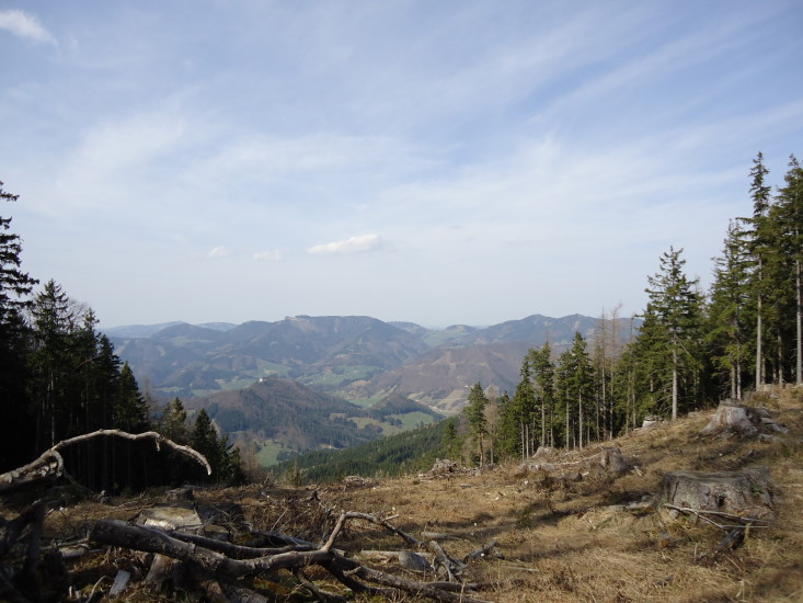 Foto: Günter Siegl / Wandertour / Oberösterreichwanderung zu niederösterreichischen Tausendern / Blickrichtung Norden zu Lindaumauer und Spindeleben / 06.04.2014 12:41:00