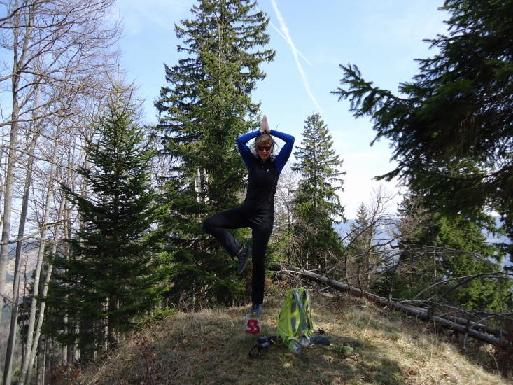 Foto: Günter Siegl / Wandertour / Oberösterreichwanderung zu niederösterreichischen Tausendern / Breitenauer Spitz / 06.04.2014 12:41:07