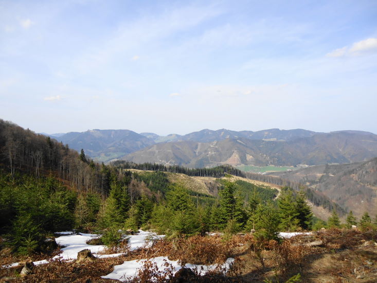 Foto: Günter Siegl / Wandertour / Oberösterreichwanderung zu niederösterreichischen Tausendern / 06.04.2014 12:41:14