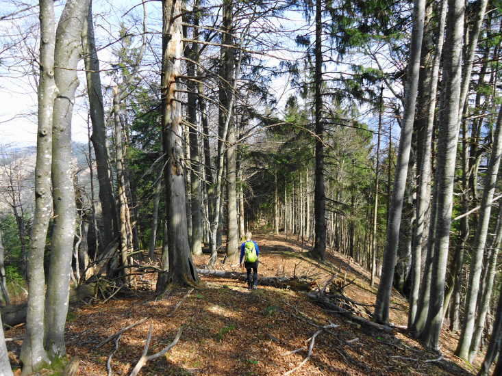 Foto: Günter Siegl / Wandertour / Oberösterreichwanderung zu niederösterreichischen Tausendern / 06.04.2014 12:41:21