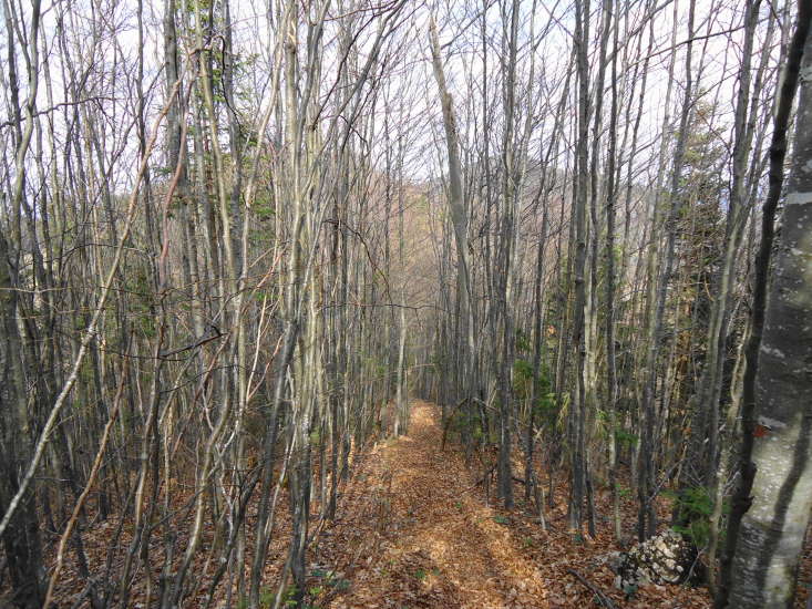 Foto: Günter Siegl / Wandertour / Oberösterreichwanderung zu niederösterreichischen Tausendern / 06.04.2014 12:41:40