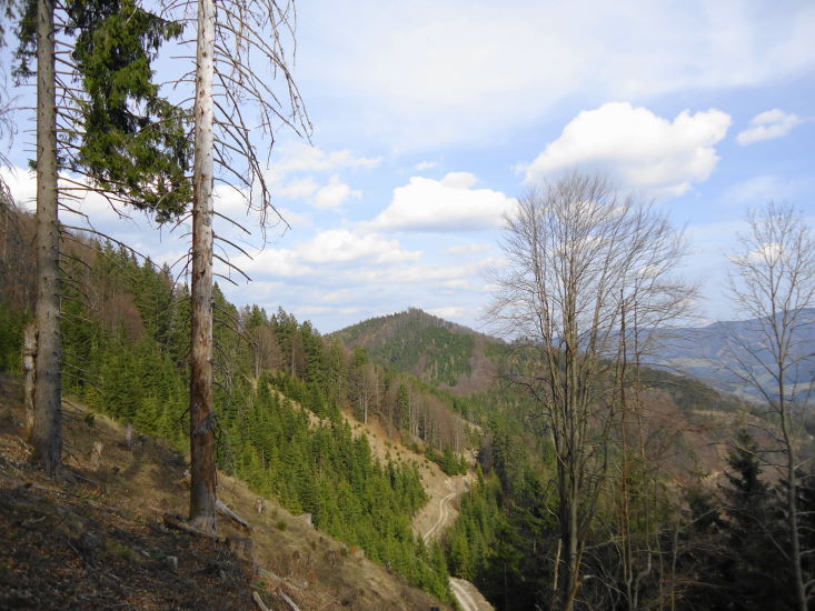 Foto: Günter Siegl / Wandertour / Oberösterreichwanderung zu niederösterreichischen Tausendern / Rechts der Wetterkogel / 06.04.2014 12:41:52