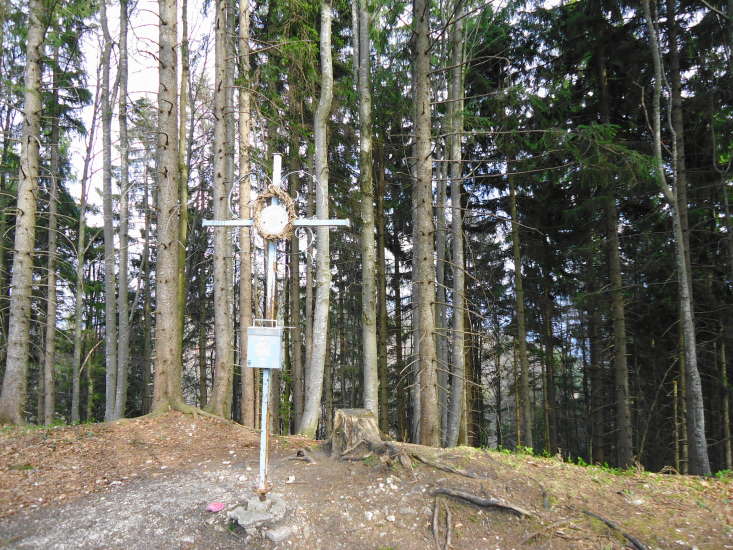 Foto: Günter Siegl / Wandertour / Oberösterreichwanderung zu niederösterreichischen Tausendern / Hirschkogel / 06.04.2014 12:42:07