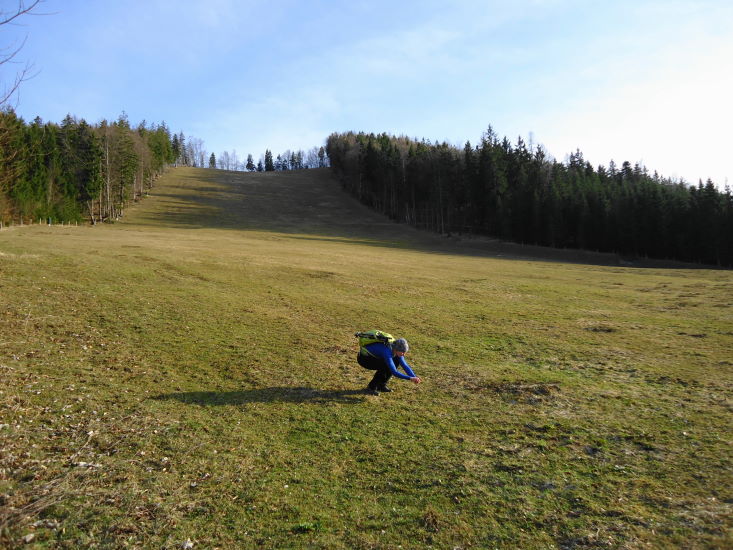 Foto: Günter Siegl / Wandertour / Oberösterreichwanderung zu niederösterreichischen Tausendern / Forsteralm / 06.04.2014 12:42:37