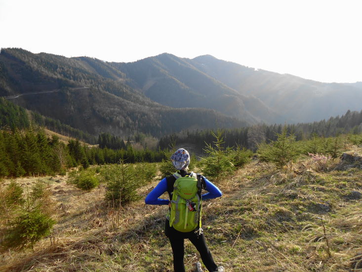 Foto: Günter Siegl / Wandertour / Oberösterreichwanderung zu niederösterreichischen Tausendern / Blick auf den Kammverlauf - ganz rechts der Gaflenzer Kaibling / 06.04.2014 12:42:49