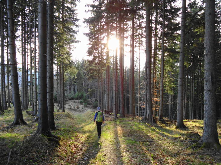 Foto: Günter Siegl / Wandertour / Oberösterreichwanderung zu niederösterreichischen Tausendern / 06.04.2014 12:42:43