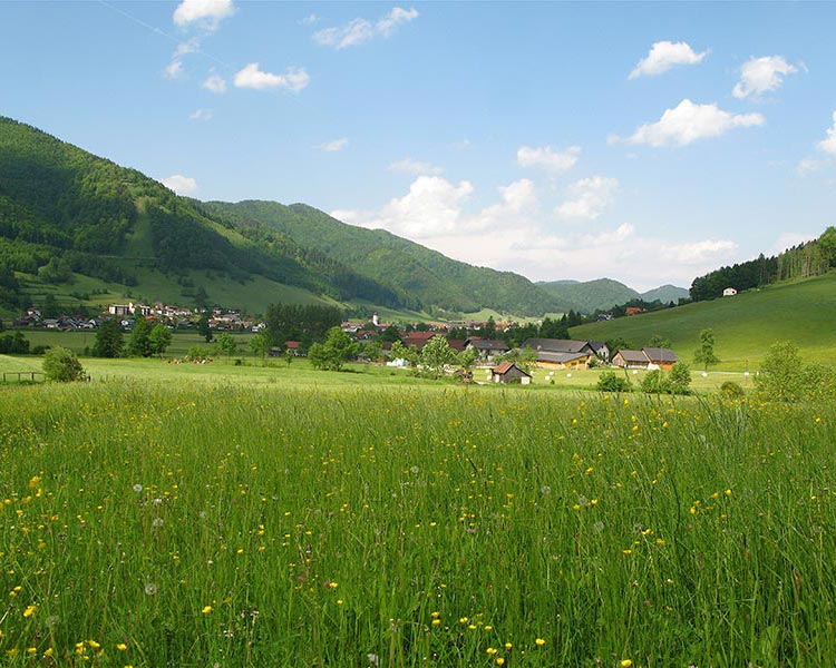Foto: pauli501 / Wandertour / Oberösterreichwanderung zu niederösterreichischen Tausendern / Gaflenz im Bezirk Weyer/Oberösterreich / 28.05.2010 17:39:36