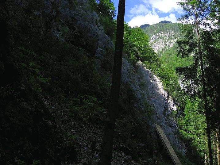 Foto: Andreas Koller / Klettersteigtour / Obertraun Klettersteig (1248m) / 09.06.2010 16:43:42