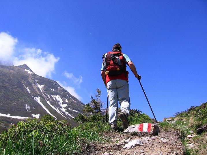 Foto: Andreas Koller / Klettersteigtour / Dohlen-Klettersteig auf den Hohen Trieb (2199 m) / Anstieg auf den Kleinen Trieb / 10.06.2010 22:59:58