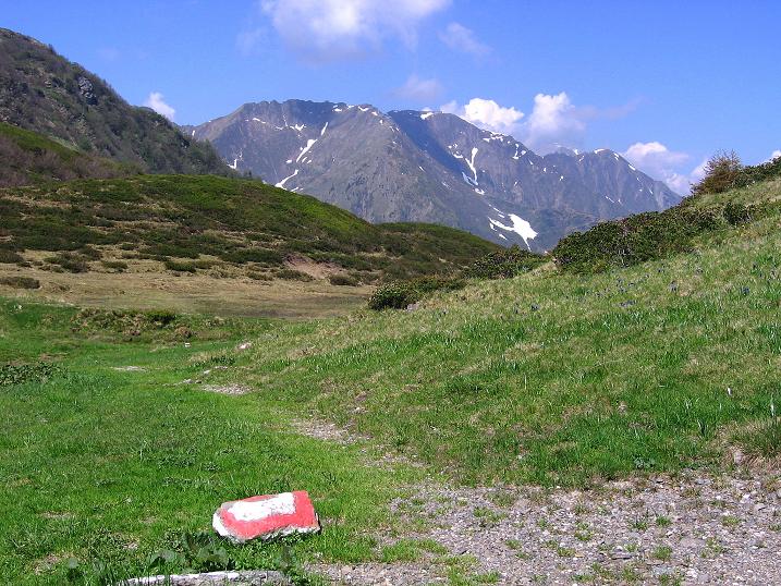 Foto: Andreas Koller / Klettersteigtour / Dohlen-Klettersteig auf den Hohen Trieb (2199 m) / 10.06.2010 22:59:46