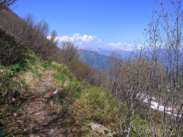 Foto: Andreas Koller / Klettersteigtour / Dohlen-Klettersteig auf den Hohen Trieb (2199 m) / 10.06.2010 22:59:08