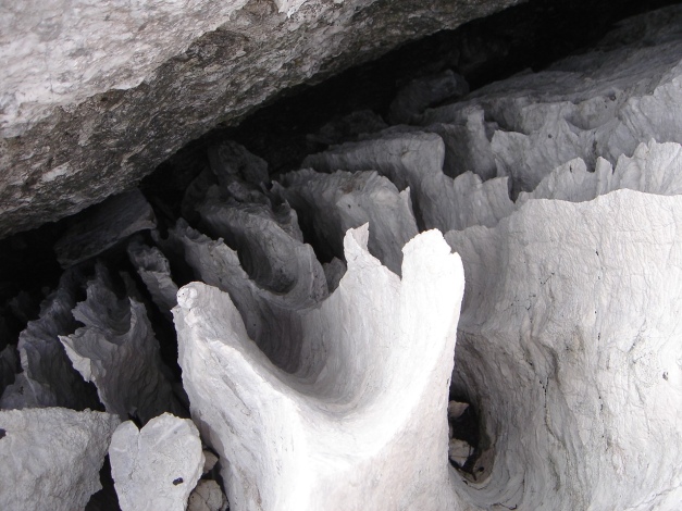 Foto: Manfred Karl / Klettertour / Zwölferkogel Südostwand, Ulli, da Tanzbodn is insa / Interessante Karstformen / 24.10.2020 19:32:54