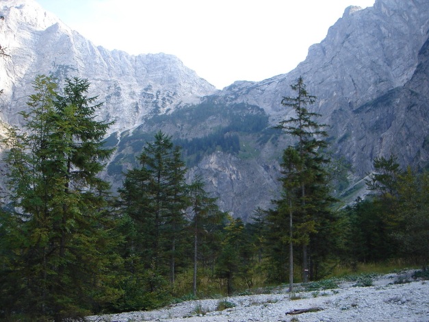 Foto: Manfred Karl / Klettertour / Zwölferkogel Südostwand, Ulli, da Tanzbodn is insa / 01.07.2018 19:25:41
