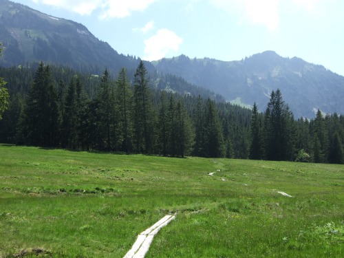 Foto: hofchri / Mountainbiketour / Rund um den Hochgern über Jochbergalm (1270 m) / der Sumpf (zwar mit Bretter) von der Staudacher Alm ist weniger einladend / 23.06.2010 20:27:44