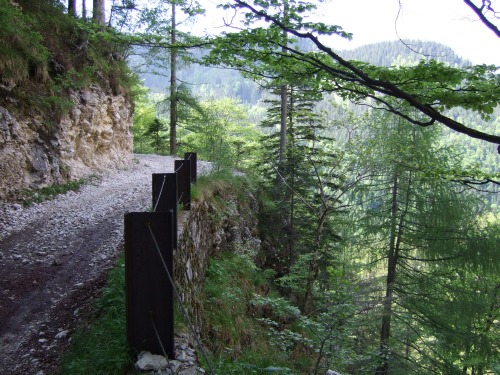 Foto: hofchri / Mountainbiketour / Rund um den Hochgern über Jochbergalm (1270 m) / ausgesetzte Forststraße / 23.06.2010 20:31:14