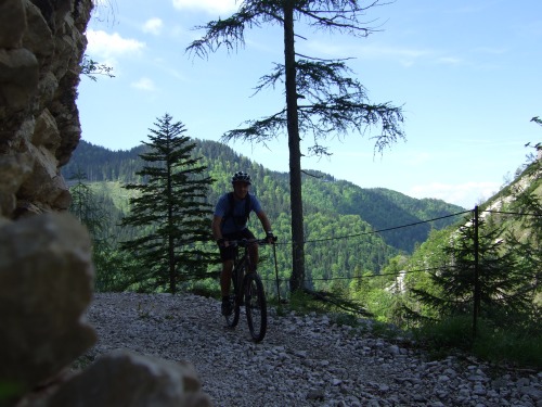 Foto: hofchri / Mountainbiketour / Rund um den Hochgern über Jochbergalm (1270 m) / herrlicher Uphill / 23.06.2010 20:31:28