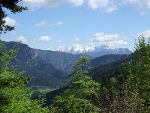 Foto: hofchri / Mountainbiketour / Rund um den Hochgern über Jochbergalm (1270 m) / schönes Panorama / 23.06.2010 20:33:35
