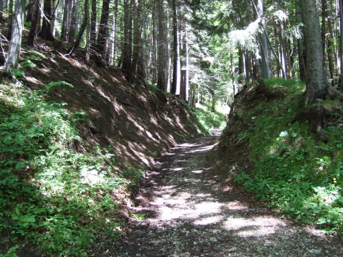 Foto: hofchri / Mountainbiketour / Rund um den Hochgern über Jochbergalm (1270 m) / teilweise recht steil - wenn auch das Foto täuscht / 23.06.2010 20:22:43