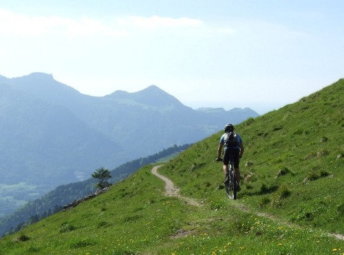 Foto: hofchri / Mountainbiketour / Rund um den Hochgern über Jochbergalm (1270 m) / herrlicher Downhill bis Marquartstein / 23.06.2010 20:34:20