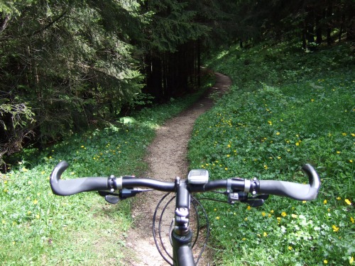 Foto: hofchri / Mountainbiketour / Rund um den Hochgern über Jochbergalm (1270 m) / der kurze Singletrail / 23.06.2010 20:24:27