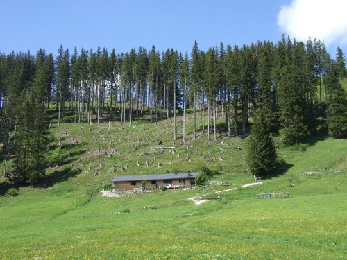 Foto: hofchri / Mountainbiketour / Rund um den Hochgern über Jochbergalm (1270 m) / bei der Vorderalm / 23.06.2010 20:26:04