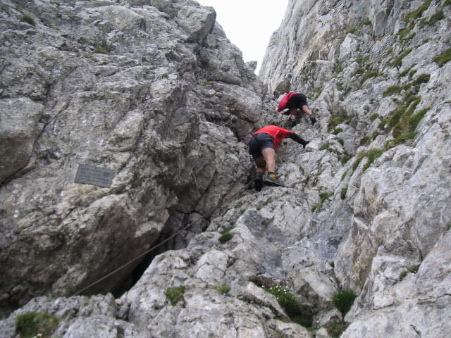Foto: Wolfgang Lauschensky / Klettersteigtour / Monte Chiadenis 2458m, Überschreitung Ferr.Portogruaro + Ferr.di Guerra / Ausstiegsrinne / 01.07.2010 12:02:39