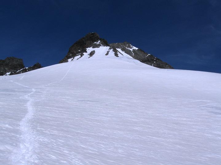 Foto: Andreas Koller / Wandertour / Piz Bernina (4049m) / Vom Spalla-Grat zur Bellavista-Trasse / 14.07.2010 17:02:14