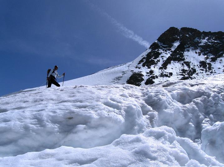 Foto: Andreas Koller / Wandertour / Piz Bernina (4049m) / 14.07.2010 17:01:01