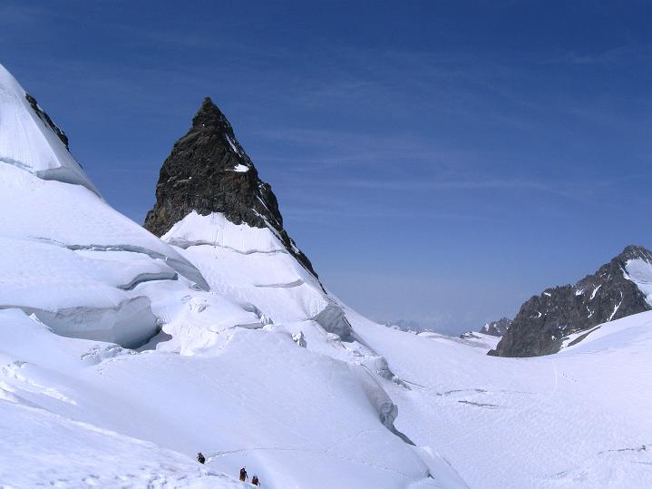 Foto: Andreas Koller / Wandertour / Piz Bernina (4049m) / 14.07.2010 17:00:47