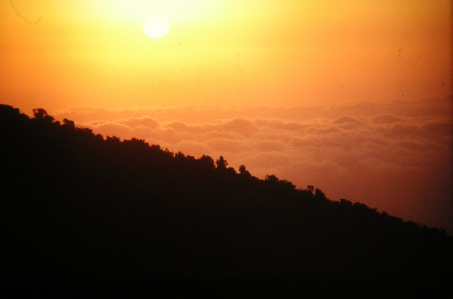 Foto: Wolfgang Lauschensky / Wandertour / Uhuru Peak 5895m ( Kilimanjaro oder Kilimandscharo ) Marangu-Route / Sonnenaufgang bei den Mandara Huts / 18.08.2010 18:05:31