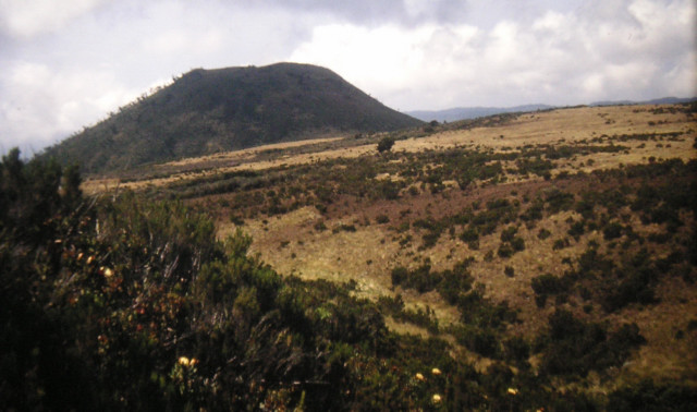 Foto: Wolfgang Lauschensky / Wandertour / Uhuru Peak 5895m ( Kilimanjaro oder Kilimandscharo ) Marangu-Route / Steppenlandschaft / 18.08.2010 18:05:03