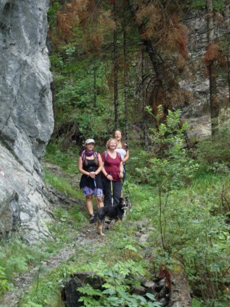 Foto: Wolfgang Dröthandl / Wandertour / Von Stockenboi auf die Gasser Alm / Fellbachgraben / 26.07.2015 19:16:26