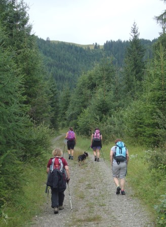 Foto: Wolfgang Dröthandl / Wandertour / Von Stockenboi auf die Gasser Alm / Das Ziel vor Augen... / 26.07.2015 19:15:35