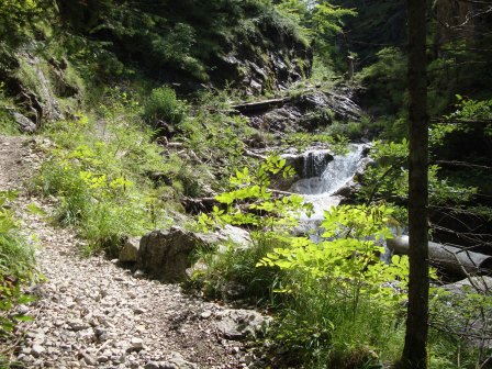 Foto: Wolfgang Dröthandl / Wandertour / Von Stockenboi auf die Gasser Alm / Abstieg durch den Fellbachgraben / 26.07.2015 19:12:49