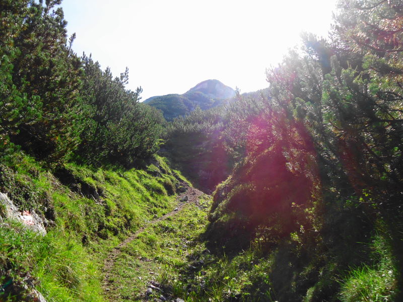 Foto: Günter Siegl / Wandertour / Reißkofel 2371m Überschreitung / Latschengassen / 03.09.2017 11:10:37