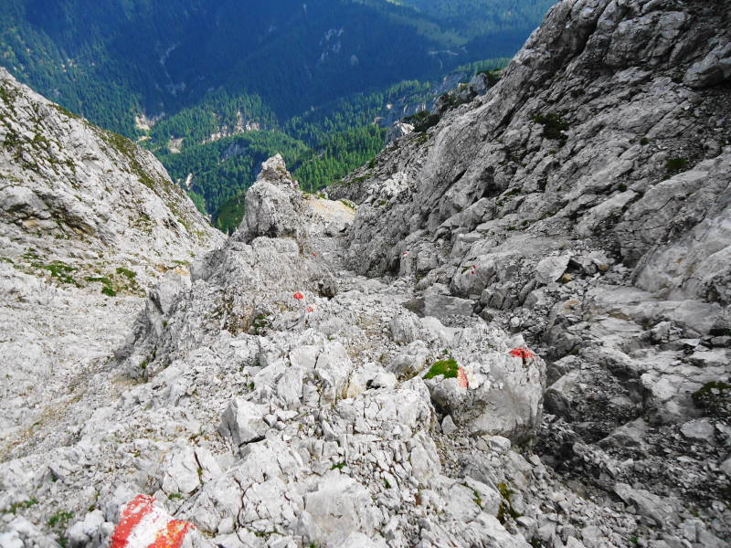 Foto: Günter Siegl / Wandertour / Reißkofel 2371m Überschreitung / 03.09.2017 11:12:40