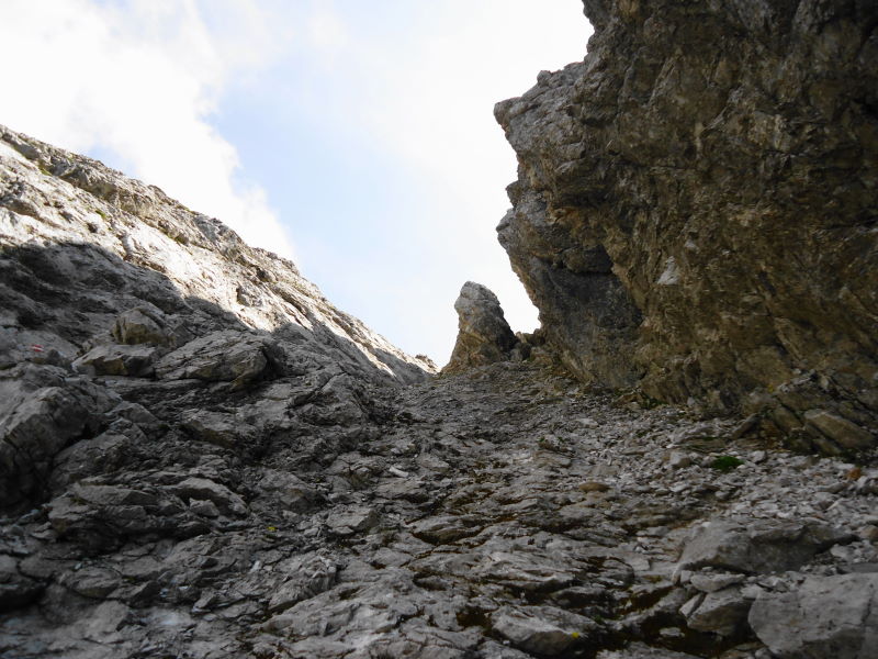 Foto: Günter Siegl / Wandertour / Reißkofel 2371m Überschreitung / 03.09.2017 11:14:26