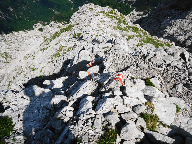 Foto: Günter Siegl / Wandertour / Reißkofel 2371m Überschreitung / An einem kleinen Nordpfeiler geht's über die eine oder andere IIer-Stelle. Wer die Überschreitung im Sinne hat: die West-Ost-Überschreitung ist wohl angenehmer, dann spart man sich das bröselige Gestein im Abstieg, der Ostteil ist zudem einfacher als der Westteil. / 03.09.2017 11:16:21