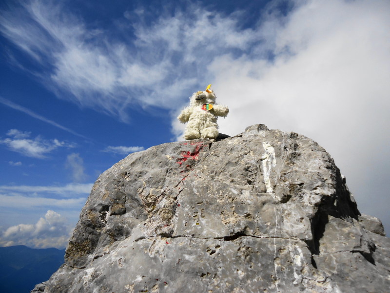 Foto: Günter Siegl / Wandertour / Reißkofel 2371m Überschreitung / Basty mit stolzgeschwellter Brust. / 03.09.2017 11:17:58